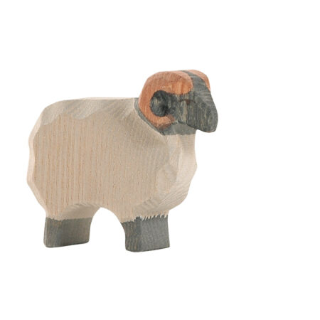 Ostheimer Moorland Ram