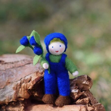 Ambrosius Flower Fairy Blueberry Boy - Discontinued?