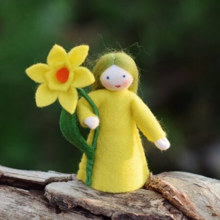 Ambrosius Flower Fairy Daffodil
